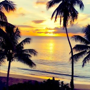 Meet your Posher, Sian